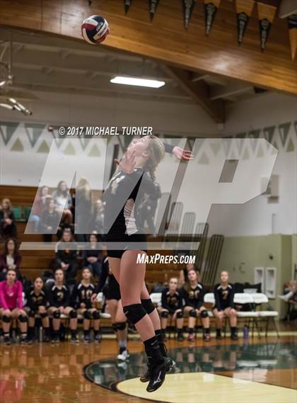 Thumbnail 1 in Willows vs. West Valley (NSCIF D4 Final) photogallery.