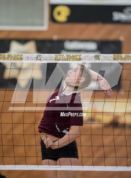 Thumbnail 2 in Willows vs. West Valley (NSCIF D4 Final) photogallery.