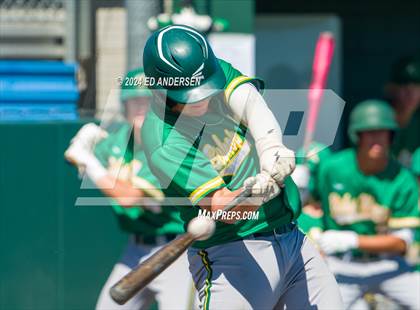 Thumbnail 1 in Reno vs. Bishop Manogue (NIAA 5A Northern Championship - Game 2) photogallery.