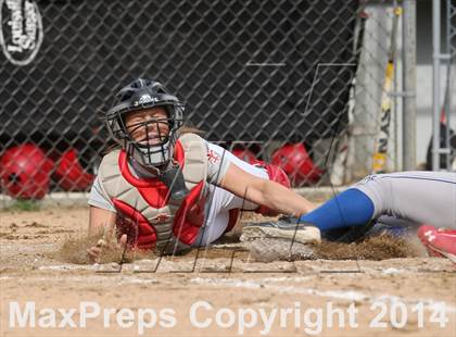 Thumbnail 1 in St. Bernard @ Lyman Memorial photogallery.