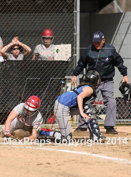 Thumbnail 1 in St. Bernard @ Lyman Memorial photogallery.