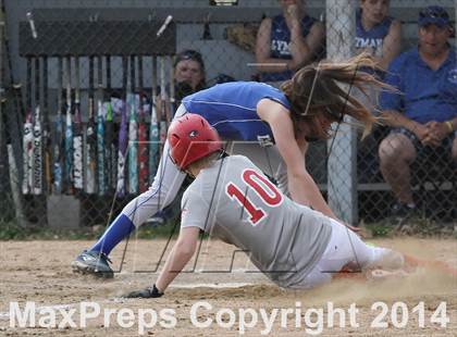 Thumbnail 2 in St. Bernard @ Lyman Memorial photogallery.