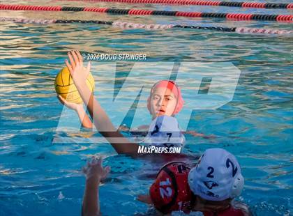 Thumbnail 1 in American @ James Logan photogallery.