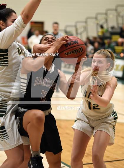 Thumbnail 2 in Hamilton @ Basha photogallery.