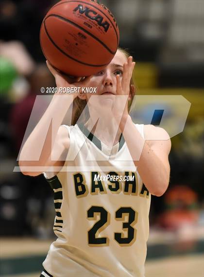 Thumbnail 2 in Hamilton @ Basha photogallery.