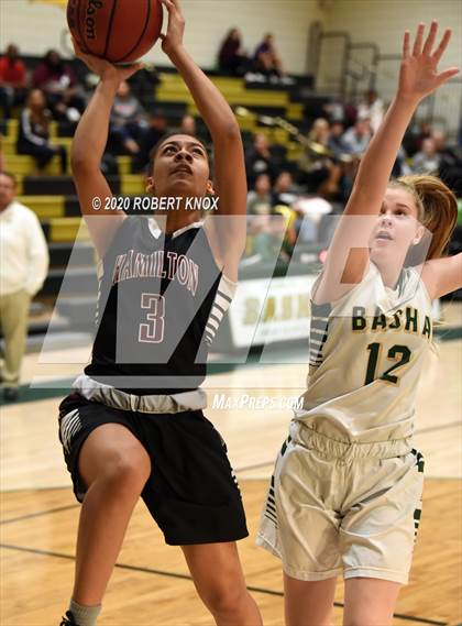 Thumbnail 2 in Hamilton @ Basha photogallery.