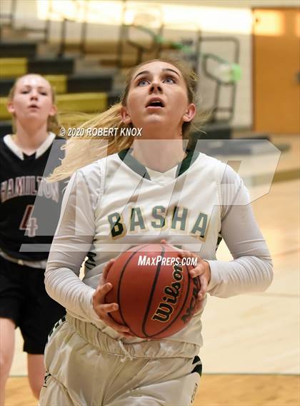 Thumbnail 2 in Hamilton @ Basha photogallery.