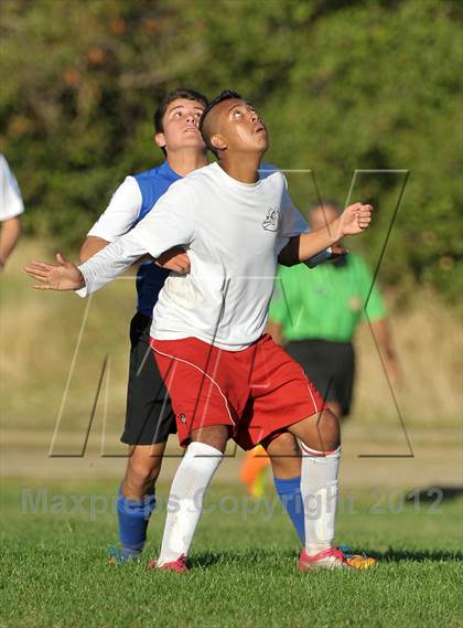 Thumbnail 3 in Ripon Christian @ Global Youth Charter (CIF SJS D7 Playoffs) photogallery.