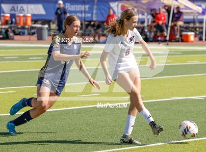 Thumbnail 2 in Pinnacle vs Desert Vista (AIA 6A Finals) photogallery.