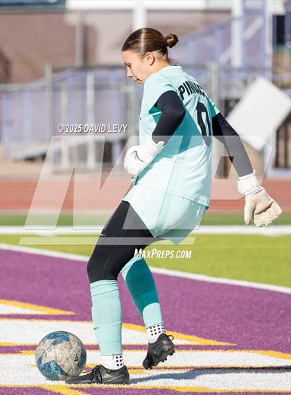 Thumbnail 1 in Pinnacle vs Desert Vista (AIA 6A Finals) photogallery.