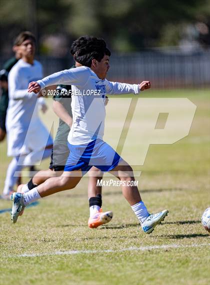 Thumbnail 1 in FR: Westbury @ Spring Woods photogallery.