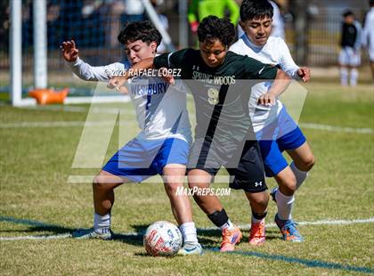 Thumbnail 3 in FR: Westbury @ Spring Woods photogallery.