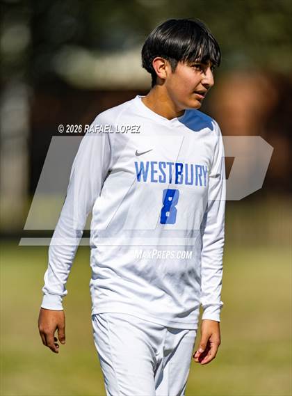 Thumbnail 3 in FR: Westbury @ Spring Woods photogallery.