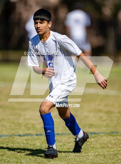 Thumbnail 3 in FR: Westbury @ Spring Woods photogallery.
