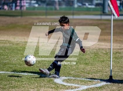 Thumbnail 2 in FR: Westbury @ Spring Woods photogallery.