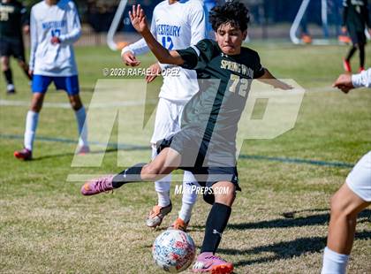 Thumbnail 3 in FR: Westbury @ Spring Woods photogallery.