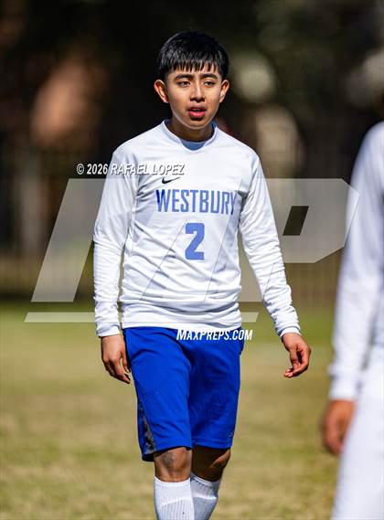 Thumbnail 1 in FR: Westbury @ Spring Woods photogallery.