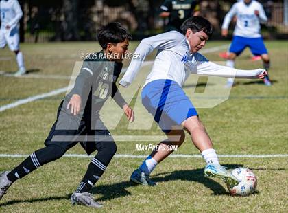 Thumbnail 3 in FR: Westbury @ Spring Woods photogallery.
