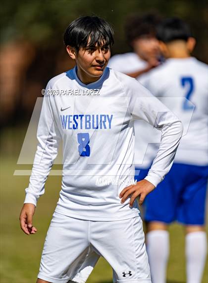Thumbnail 2 in FR: Westbury @ Spring Woods photogallery.