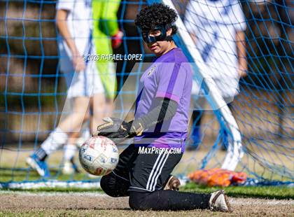 Thumbnail 3 in FR: Westbury @ Spring Woods photogallery.