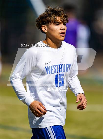 Thumbnail 2 in FR: Westbury @ Spring Woods photogallery.