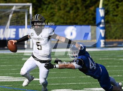 Thumbnail 3 in Trumbull @ Darien photogallery.