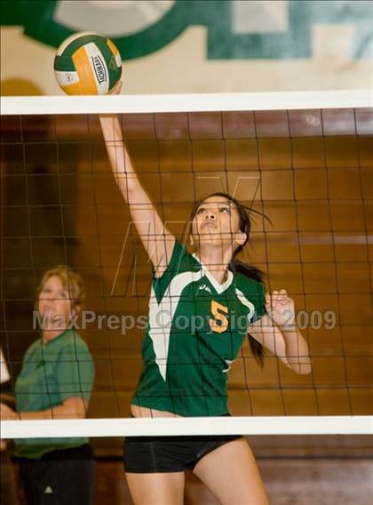 Thumbnail 1 in Beyer @ Davis photogallery.