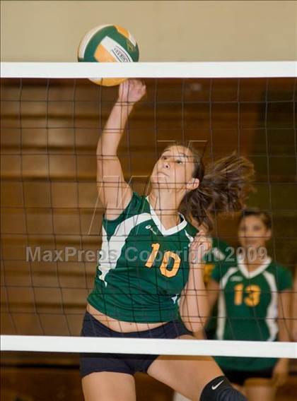 Thumbnail 3 in Beyer @ Davis photogallery.