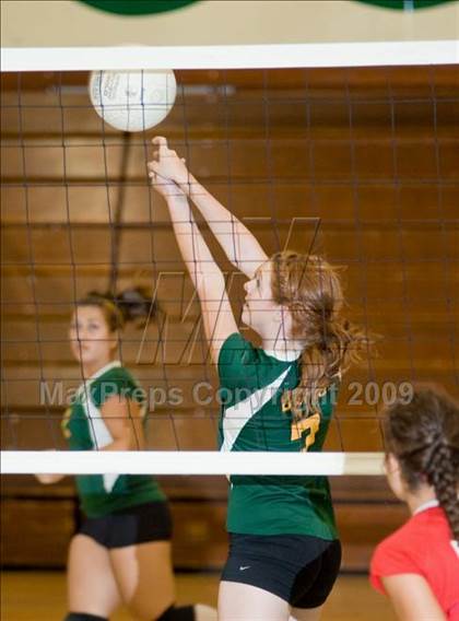 Thumbnail 3 in Beyer @ Davis photogallery.