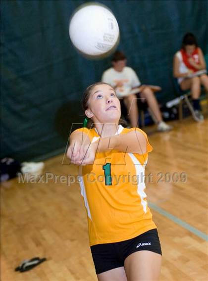 Thumbnail 1 in Beyer @ Davis photogallery.