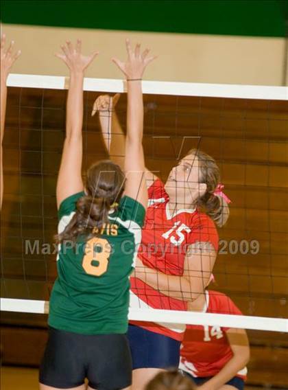 Thumbnail 1 in Beyer @ Davis photogallery.