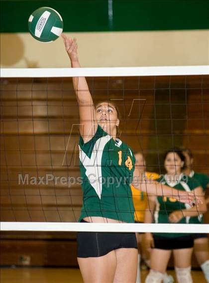 Thumbnail 1 in Beyer @ Davis photogallery.