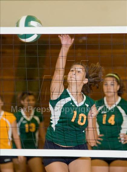 Thumbnail 2 in Beyer @ Davis photogallery.