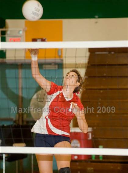Thumbnail 3 in Beyer @ Davis photogallery.