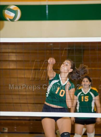 Thumbnail 2 in Beyer @ Davis photogallery.