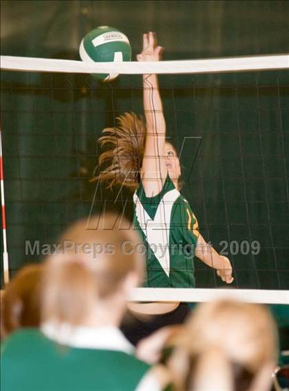 Thumbnail 3 in Beyer @ Davis photogallery.