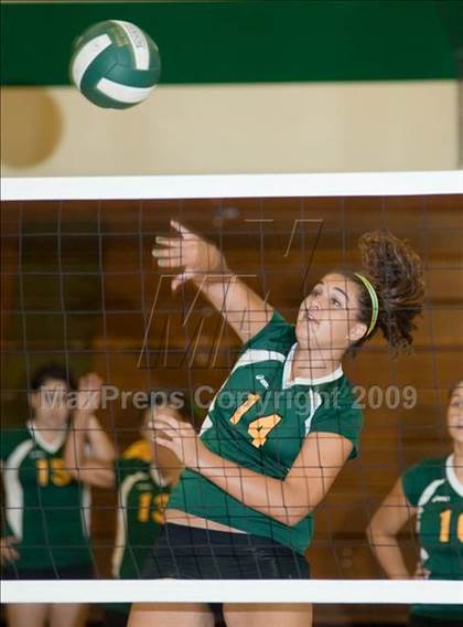 Thumbnail 2 in Beyer @ Davis photogallery.