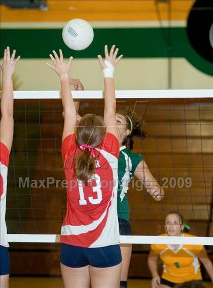 Thumbnail 2 in Beyer @ Davis photogallery.