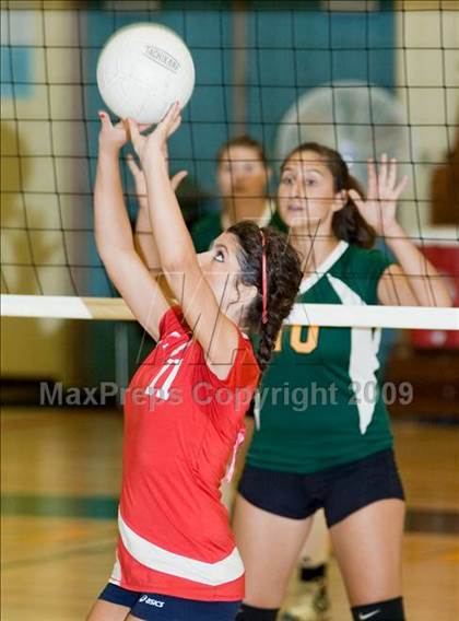 Thumbnail 2 in Beyer @ Davis photogallery.