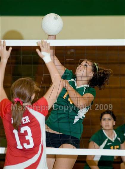 Thumbnail 3 in Beyer @ Davis photogallery.