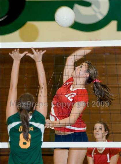 Thumbnail 1 in Beyer @ Davis photogallery.