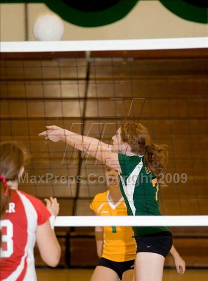 Thumbnail 3 in Beyer @ Davis photogallery.