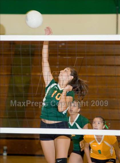 Thumbnail 1 in Beyer @ Davis photogallery.