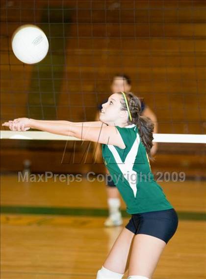 Thumbnail 1 in Beyer @ Davis photogallery.