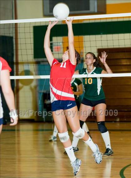 Thumbnail 1 in Beyer @ Davis photogallery.