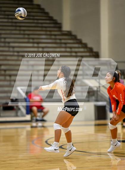 Thumbnail 3 in Burbank vs Lanier [Sidney] photogallery.