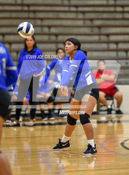 Thumbnail 1 in Burbank vs Lanier [Sidney] photogallery.