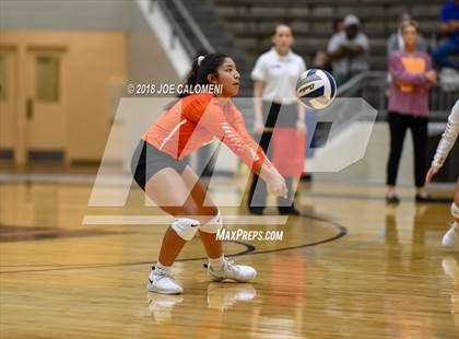Thumbnail 1 in Burbank vs Lanier [Sidney] photogallery.