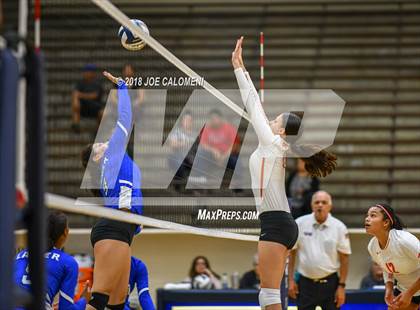 Thumbnail 2 in Burbank vs Lanier [Sidney] photogallery.