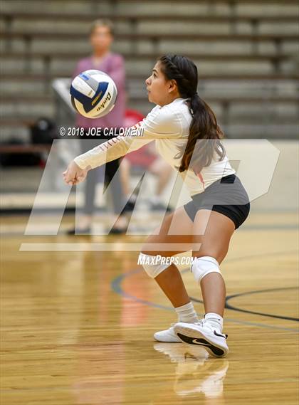 Thumbnail 1 in Burbank vs Lanier [Sidney] photogallery.